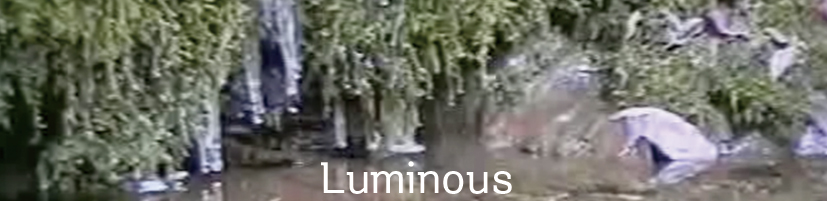 Luminous